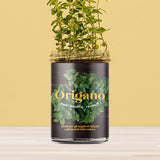 ORTI CUCINA ORIGANO