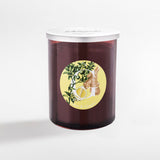 CERERIA PERNICI CANDELA LIME & GINGER 900GR