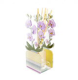 PROFUMATORE PER AMBIENTI 200 ML - LIVINIA GRANDE ORCHIDEA VIOLA