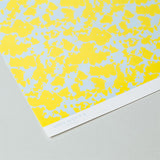 WRITE SKETCH & WRAPPING PAPER SPRING