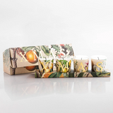 CAPSULE COLLECTION XMAS CANDELA CERERIA PERNICI