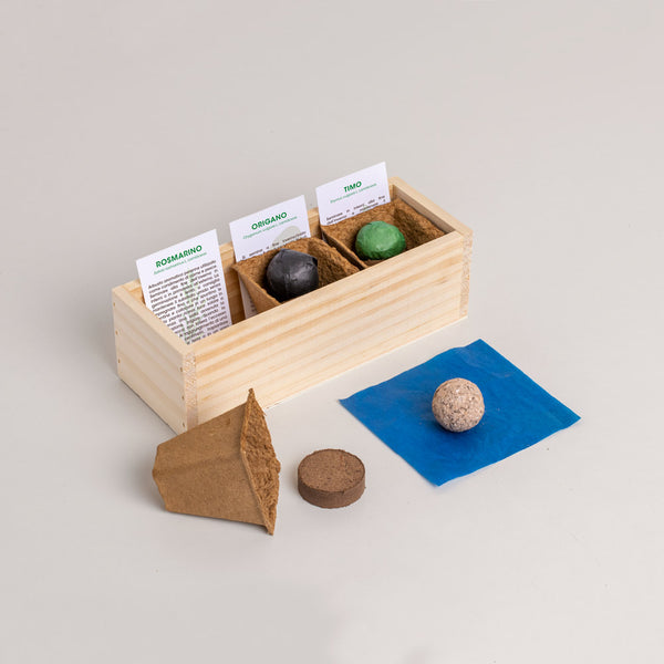 MINI ORTO MEDITERRANEO