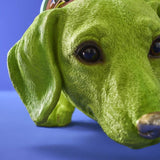 BASSOTTO WILFRIED DOG GREEN