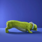 BASSOTTO WILFRIED DOG GREEN