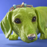 BASSOTTO WILFRIED DOG GREEN